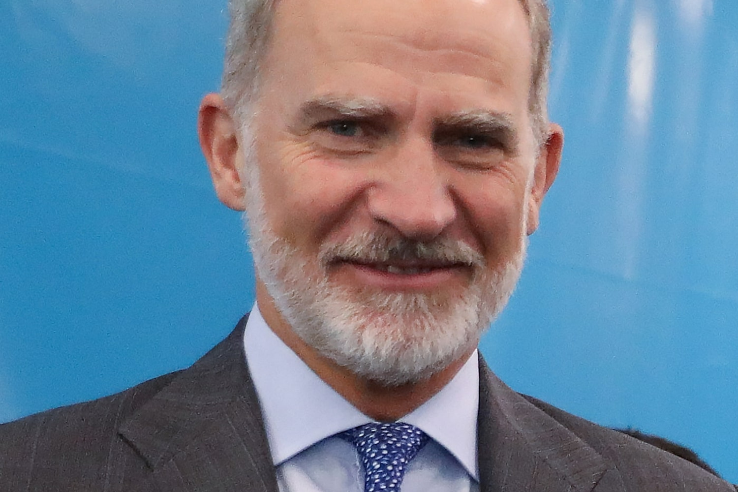 Retrato de Felipe VI