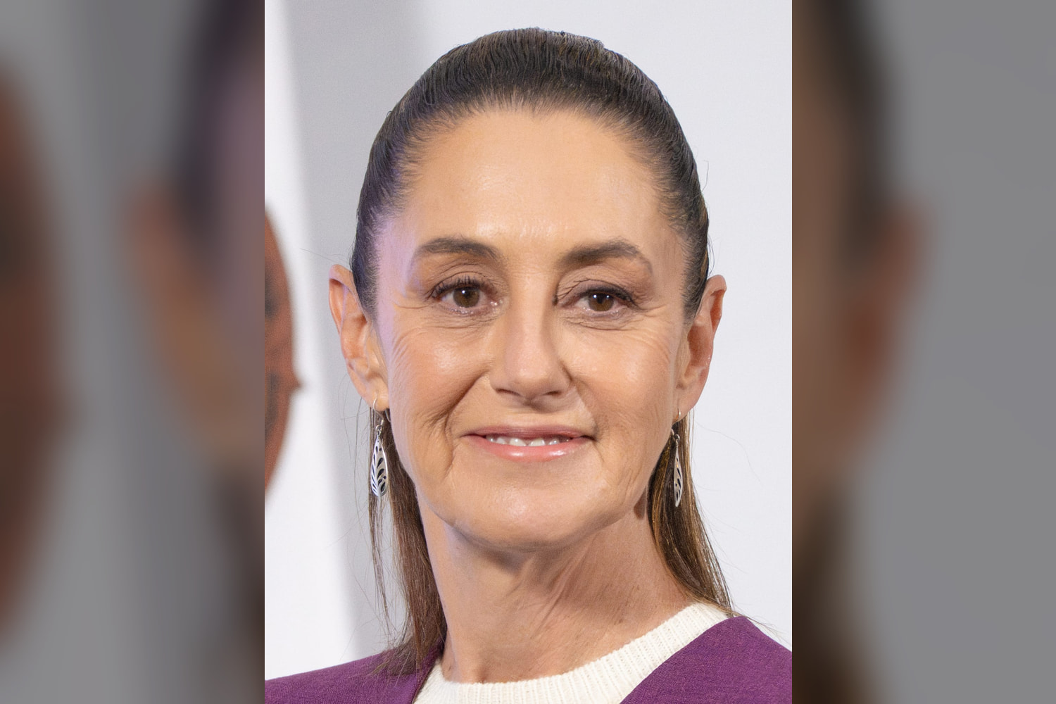 Imagen de El Hemiciclo para «Sheinbaum pide al INE y al Tepjf fijar reglas para redes en 2027»